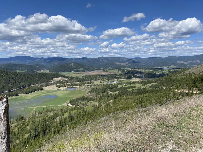 Lush green valley with lakes and mountains under a blue sky