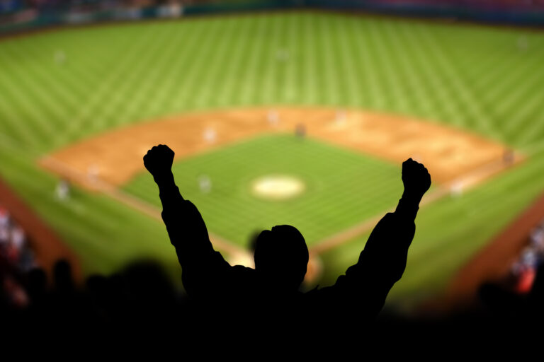 Silhouette of a fan at a baseball game.
