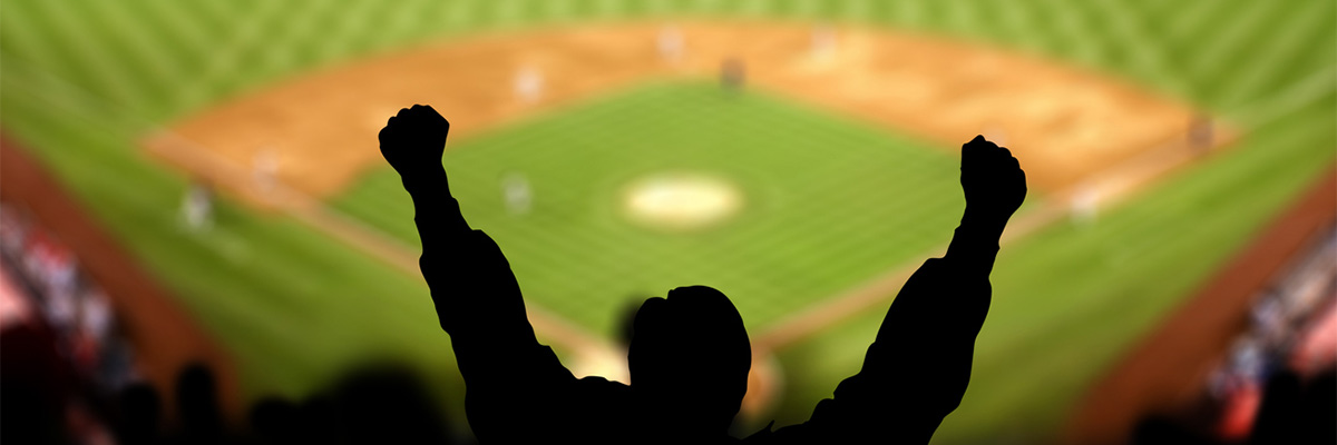 Silhouette of a fan at a baseball game.
