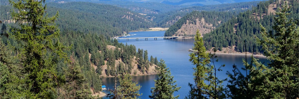 Mountain top view of Lake Coeur d'Alene in Idaho with green trees and mountains in the distance.