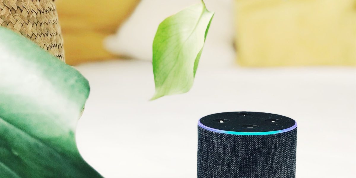 Smart home voice device